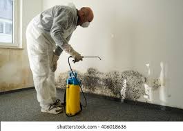 Mold Remediation for Vacation Homes in La Puente, CA